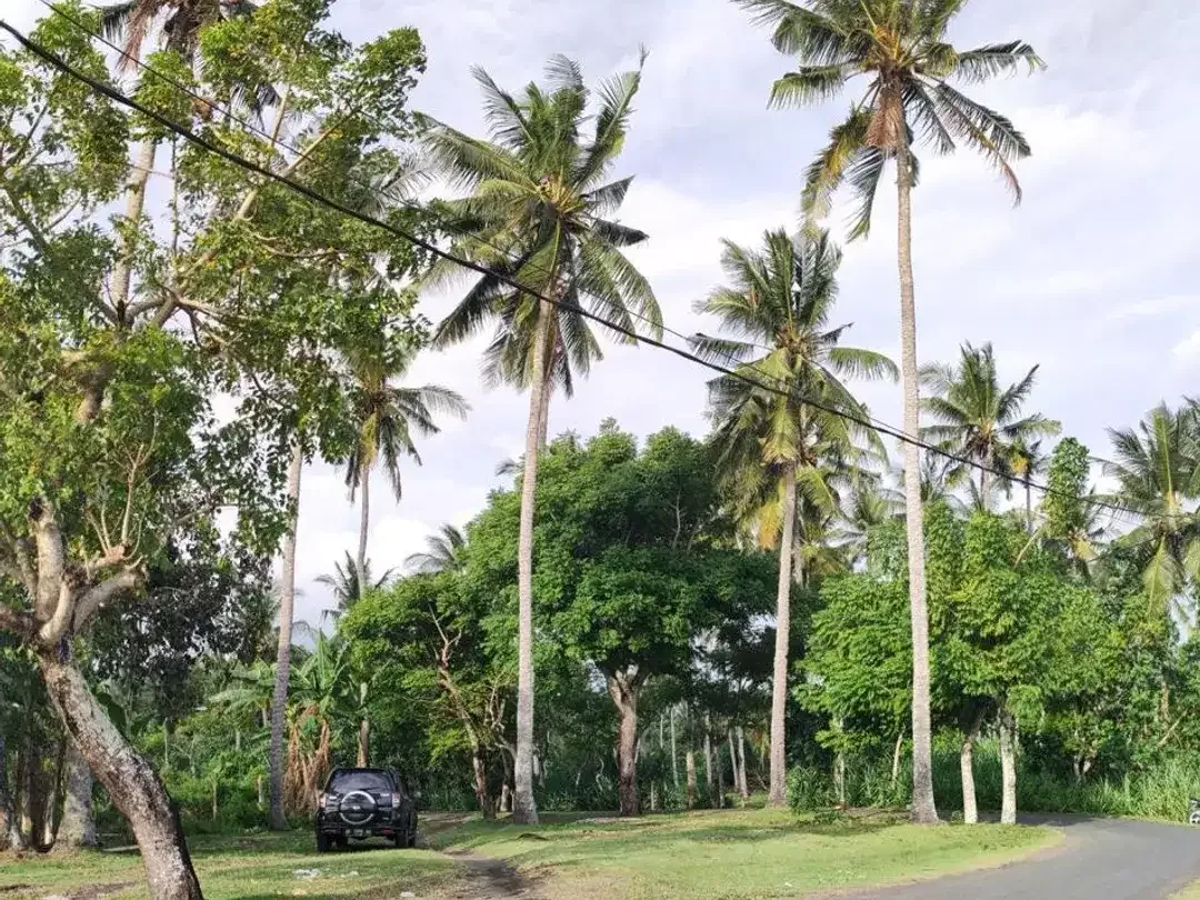 Dijual Tanah Hook Position & Tourism Zone, Los Pantai di Pebuahan – Investasi Pariwisata Bali Barat - Image 9 of 10