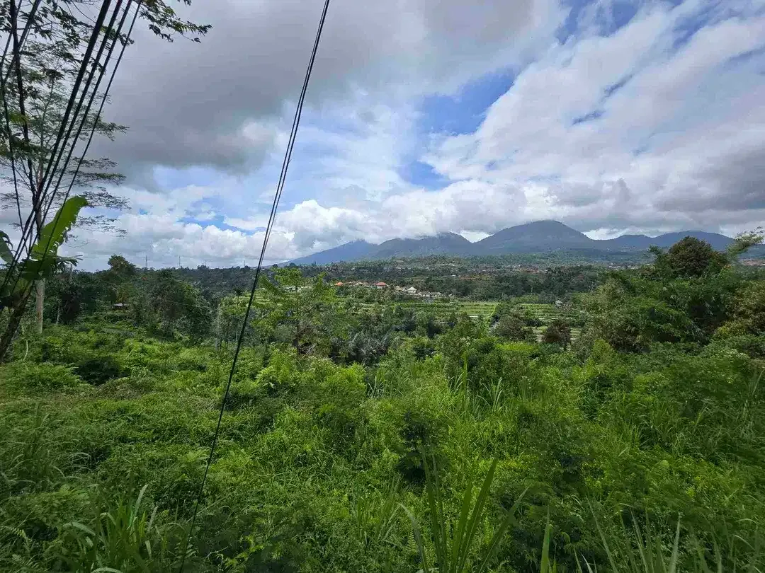dijual tanah view exotik gunung dan terasering di baturiti bali - Image 9 of 10