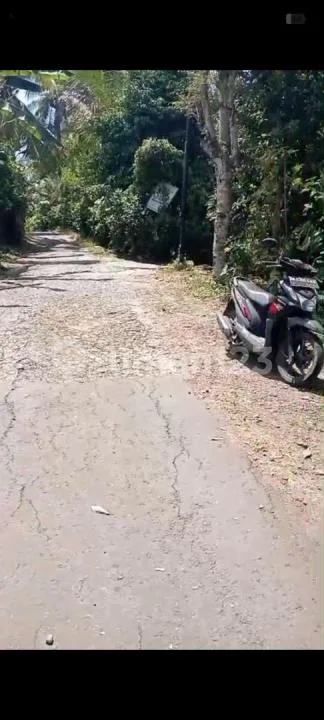 Jual Tanah Kebun Murah di Tabanan - Image 4 of 4