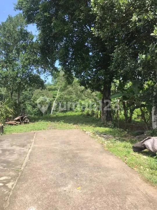 Tanah 28 Are Pinggir Sungai Cocok untuk Villa atau Resort di Desa Tanguntiti, Tabanan - Image 2 of 4