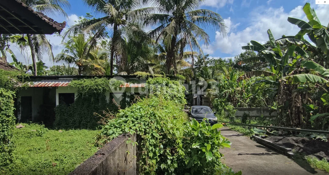 Rumah Murah LT 2 Are di Bawah Pasaran Hanya 500 Juta di Tabanan - Image 4 of 4