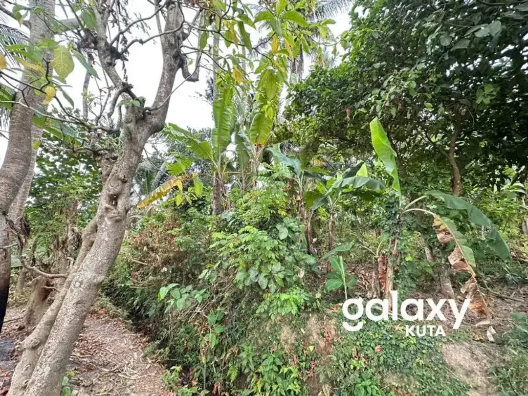 DIJUAL TANAH VIEW SAWAH DEKAT RS KASIH IBU DI TOJAN BLAHBATUH - Image 6 of 10