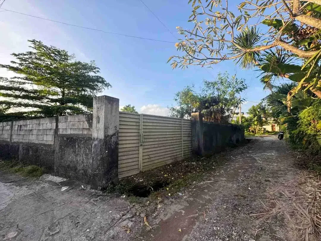 Dijual Tanah 7,5a di area Jln Pantai Brawa Canggu Bali - Image 5 of 7