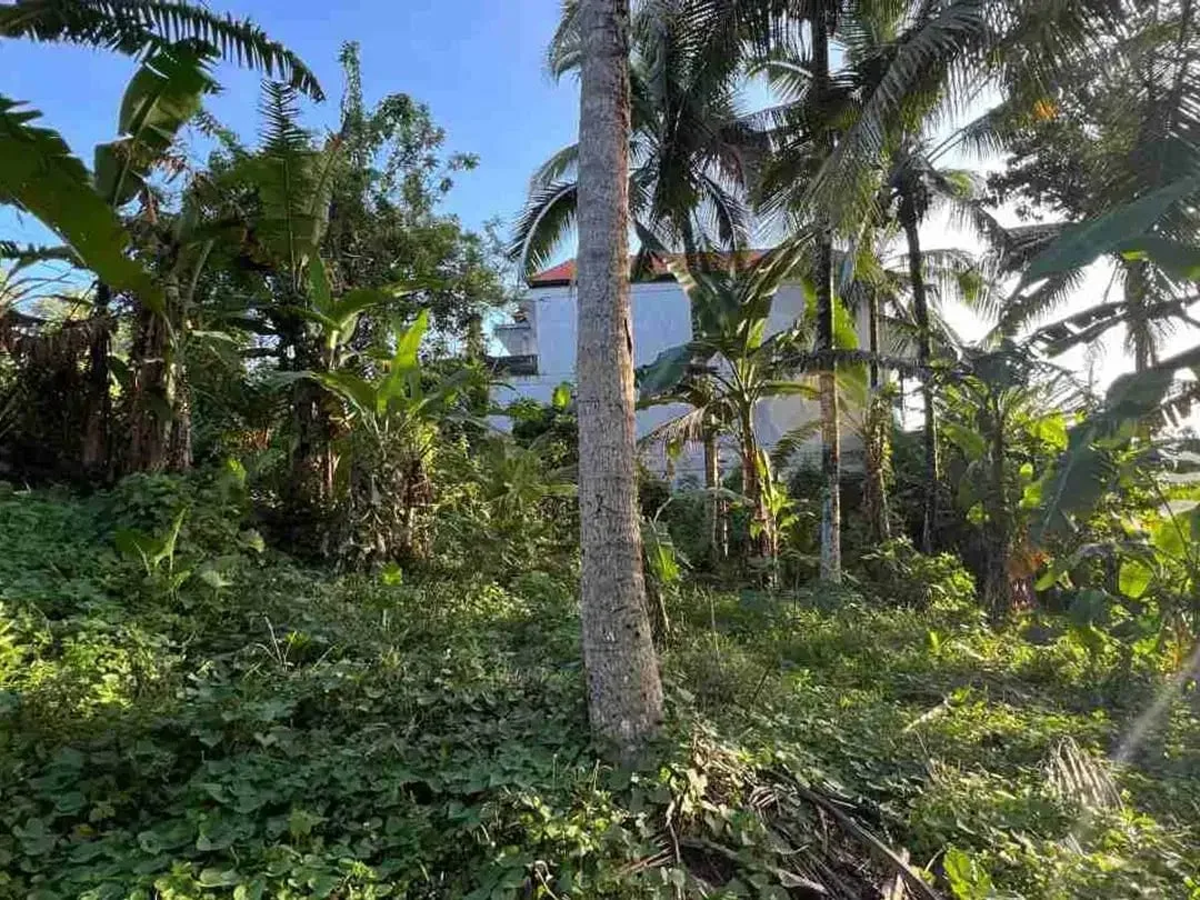 jual tanah pinggir jalan utama view sawah dekat kota tabanan bali - Image 6 of 10