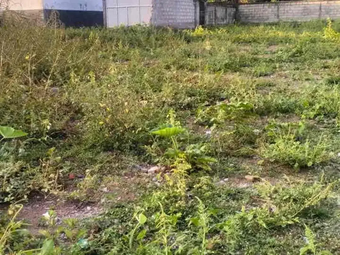 PREMIUM LAND FOR LEASE – PANDAK GEDE, KEDIRI, TABANAN, BALI - Image 5 of 10