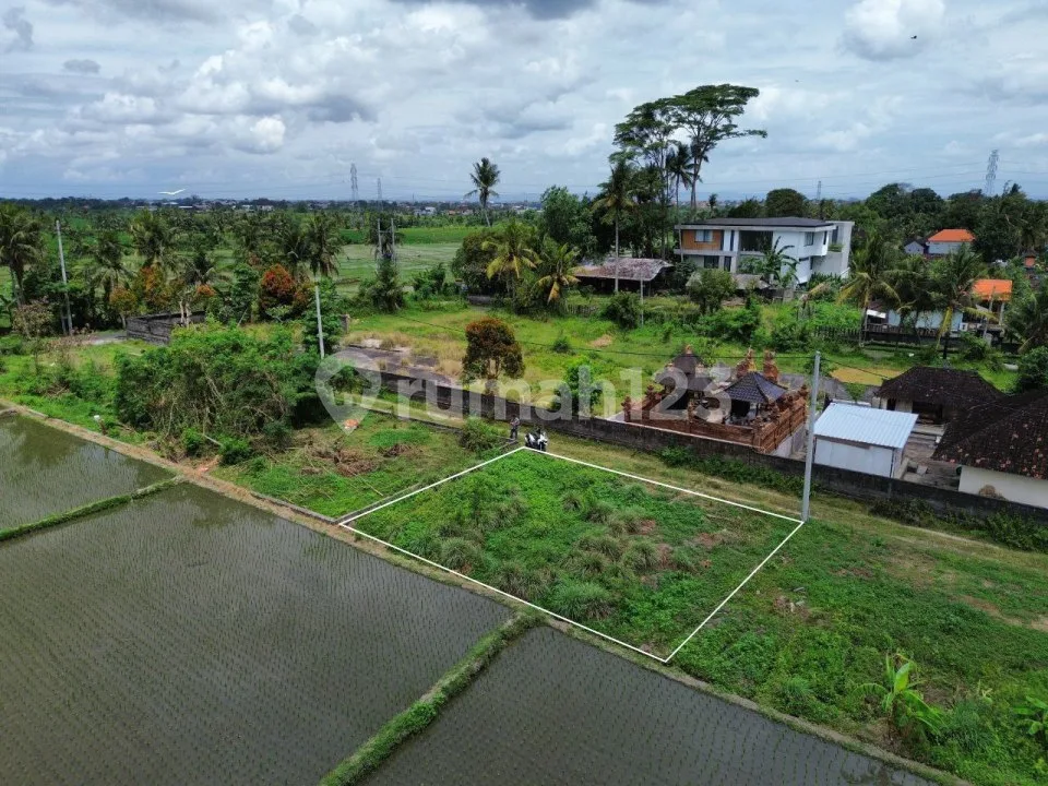 Tanah View sawah Green Belt - Kaba Kaba tabanan 200m2 - Image 2 of 4