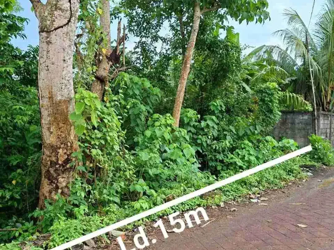 Di jual tanah bagus di Ungasan lingkungan villa sangat cocok untuk komersil - Image 4 of 5