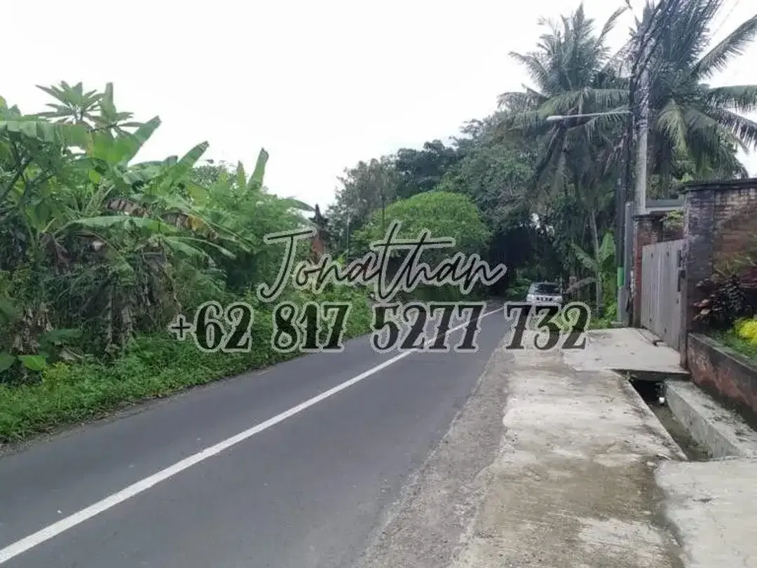 Dijual Tanah Komersil Pinggir Jalan Utama Pantai Kedungu Tabanan Bali - LSADT - Image 2 of 9
