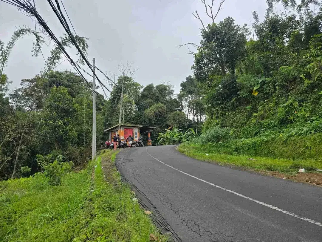 kebun dengan view gunung dan sawah penuh panorama - Image 5 of 9