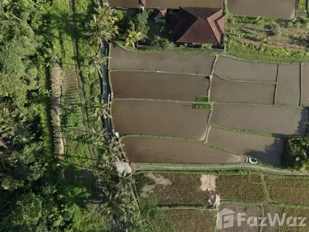 Land for sale in Pejeng, Bali - Image 9 of 9
