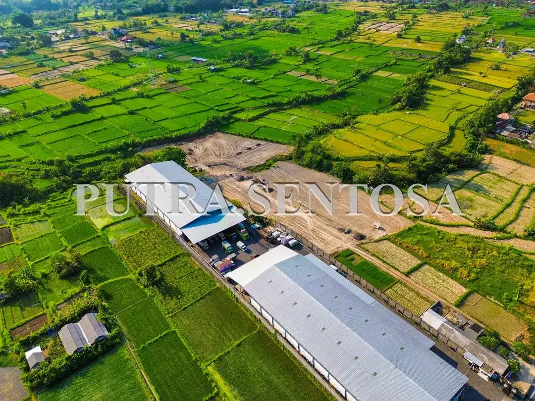TANAH BYPASS IDA BAGUS MANTRA GIANYAR KLUNGKUNG - Image 6 of 9