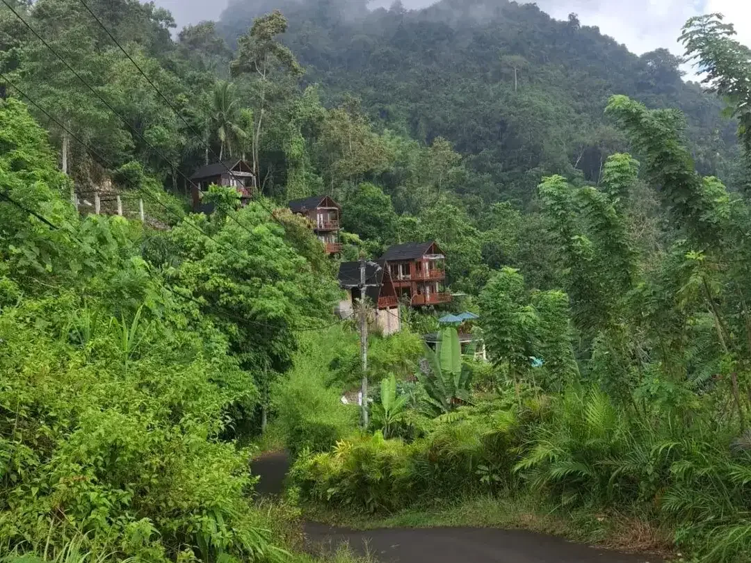 8.100 sqm Land for Sale in Sidemen, Karangasem - Image 6 of 6