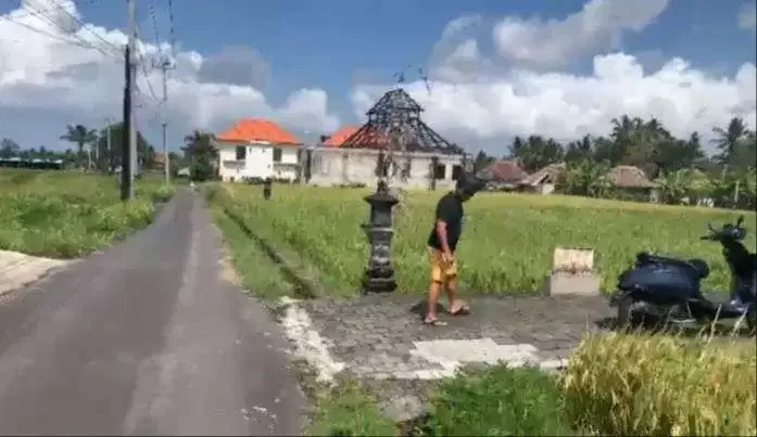 Dijual Tanah View Sawah Dekat ke Central Ubud - Image 2 of 6