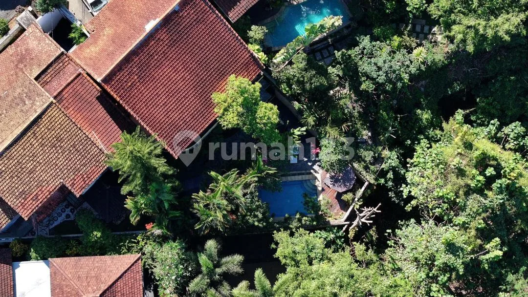 Dijual Family Villa Jimbaran Bali, Swimming Pool Pribadi - Image 2 of 4
