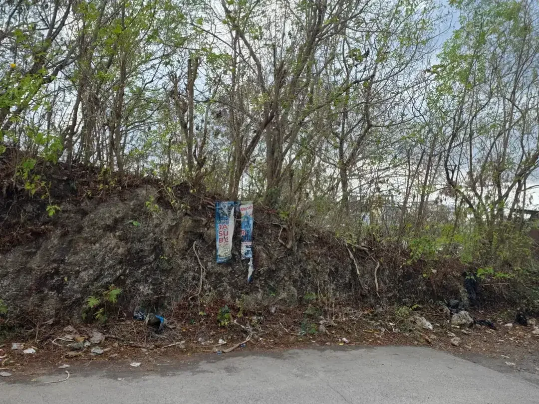 Dijual Tanah Lokasi Strategis di Pecatu - Ungasan - Image 5 of 6