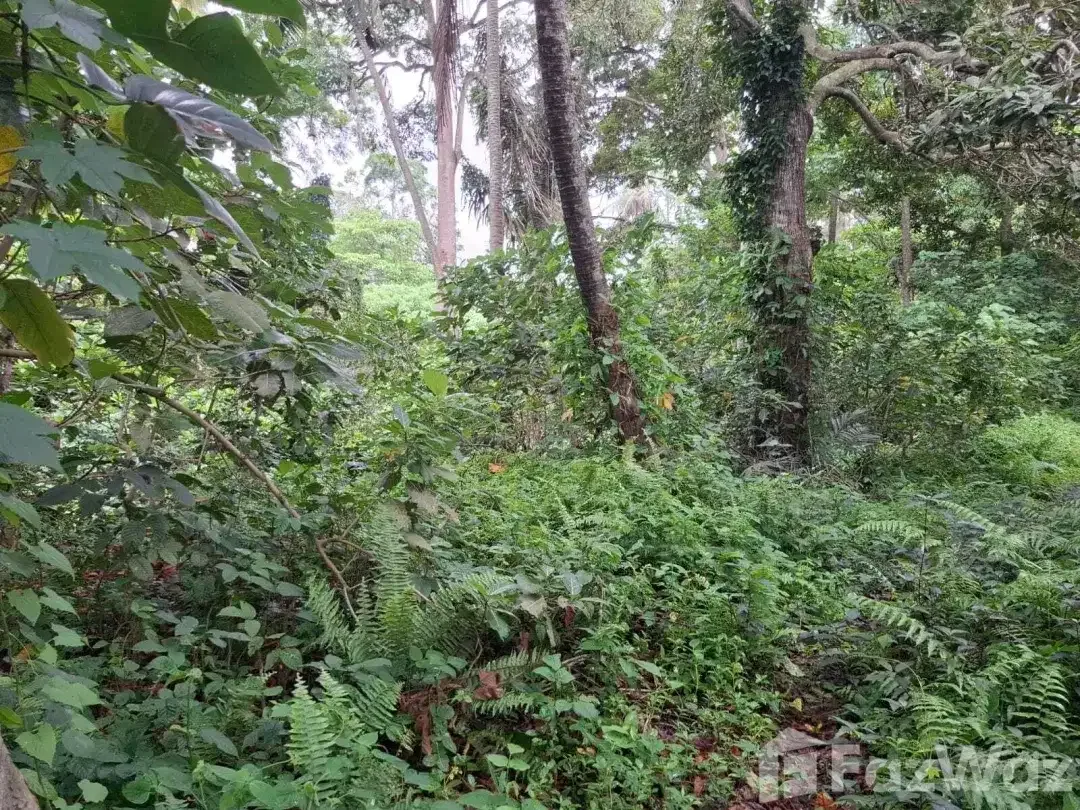 Land for sale in Ubud, Bali - Image 9 of 10
