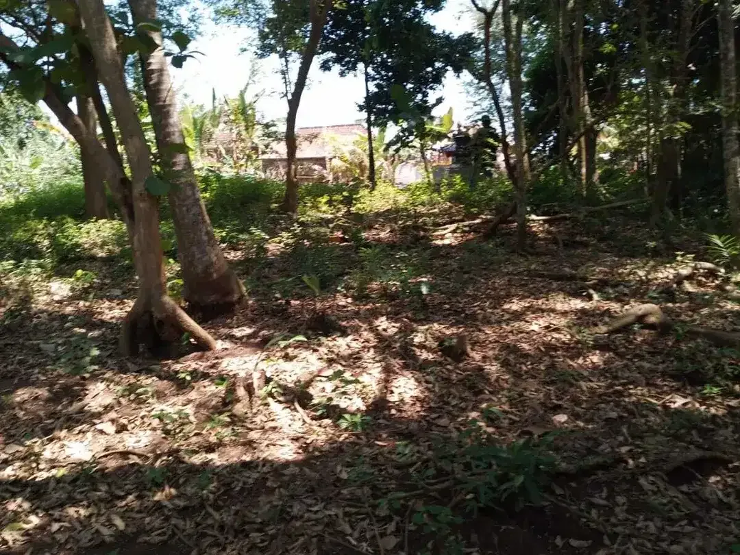Land for sale in Kaba Kaba, Bali - Image 2 of 6