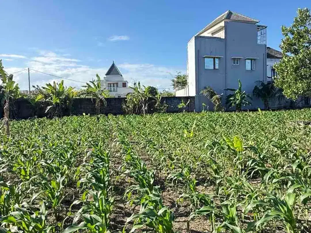 Tanah Zona Pariwisata 615 m² Dekat Pantai Padang Galak Sanur - Image 2 of 10