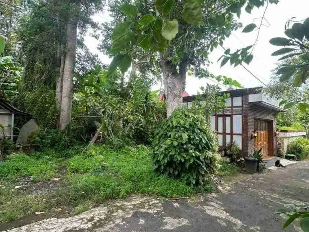 Kavling Premium Uluwatu Dekat Savaya, Area Favorit Villa dan Hunian - Image 6 of 6