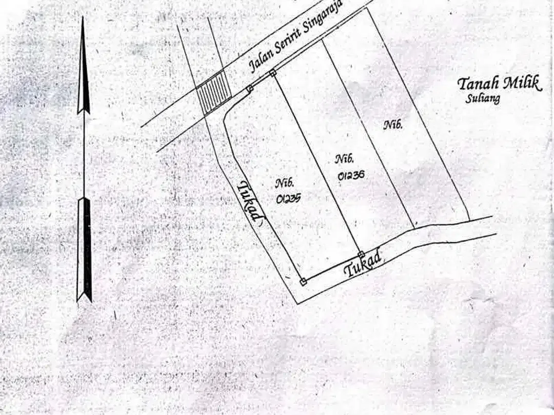 Tanah Utama Seririt Lovina singaraja Cocok Untuk Usaha - Image 1 of 1