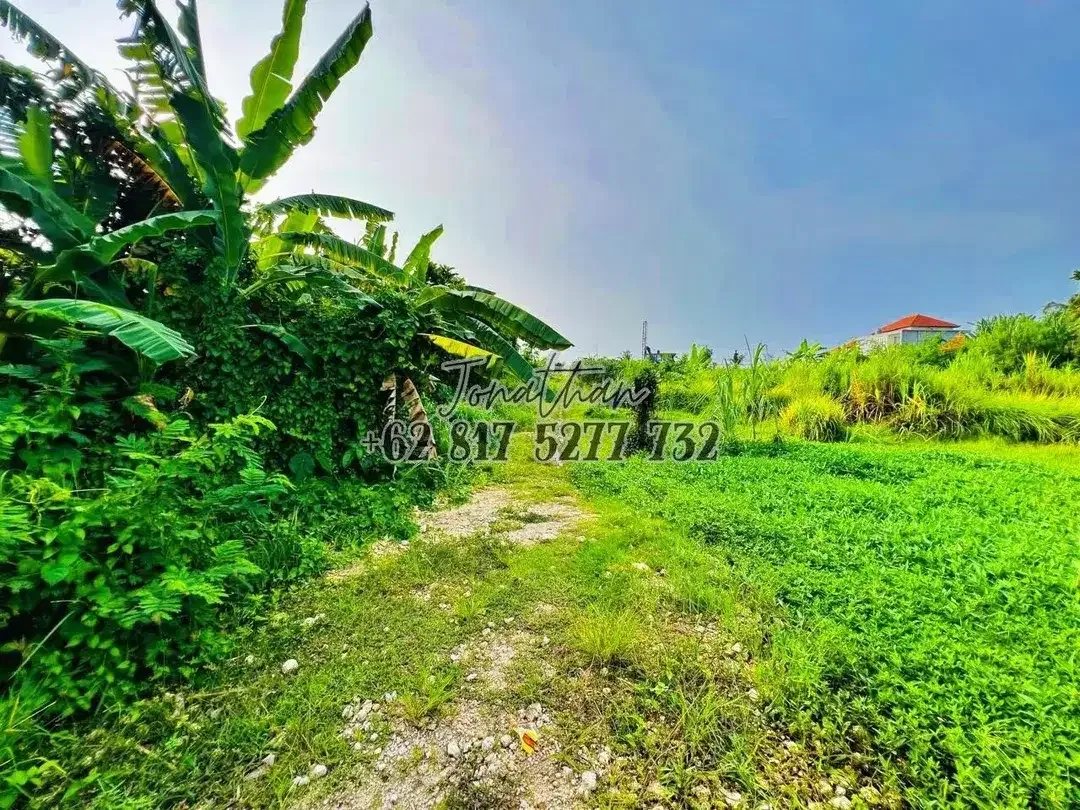 Dijual Tanah View Sawah Zona Wisata di Pantai Nyanyi Tabanan Bali - LSADT - Image 9 of 10