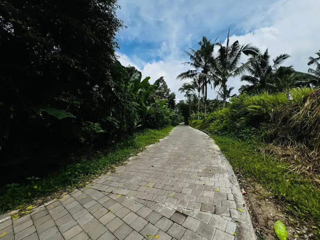 Tanah los sungai payangan ubud - Image 5 of 9