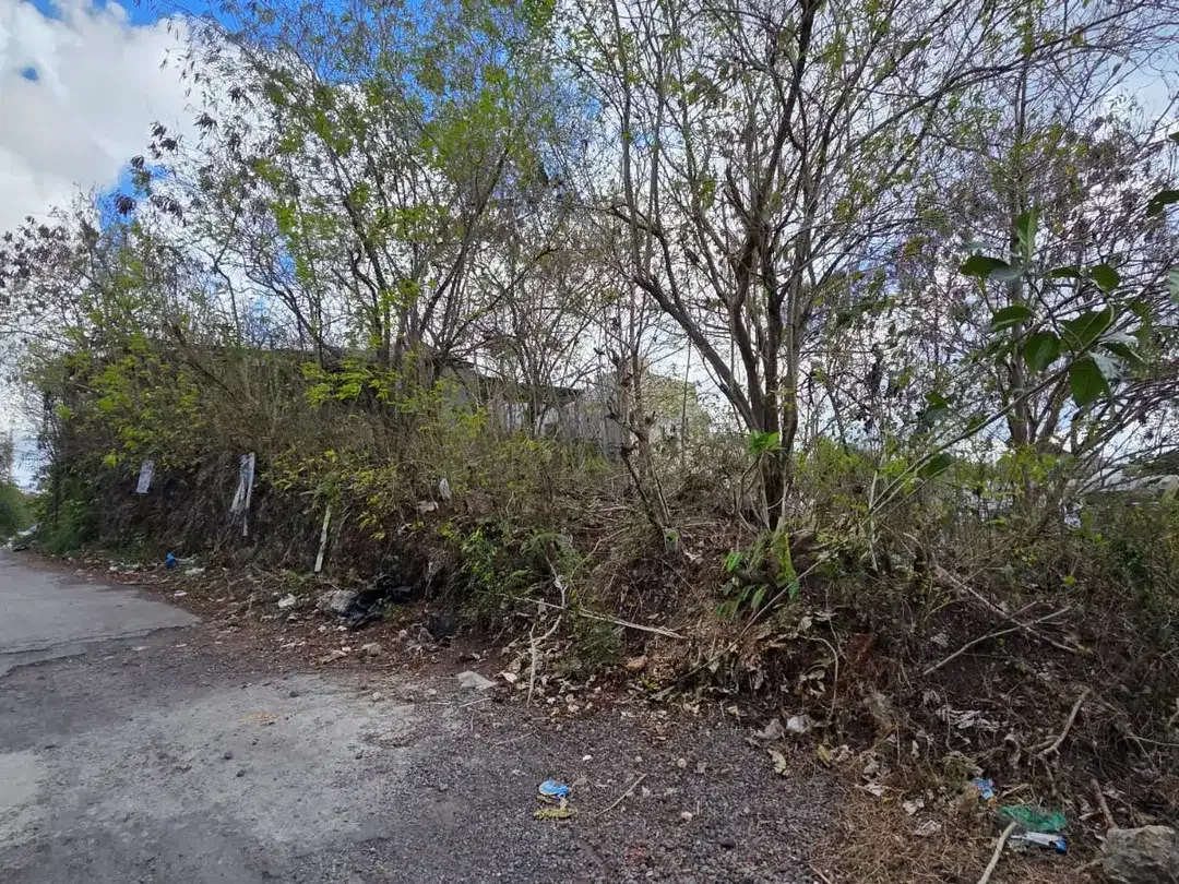 Dijual Tanah Lokasi Strategis di Pecatu - Ungasan - Image 1 of 6