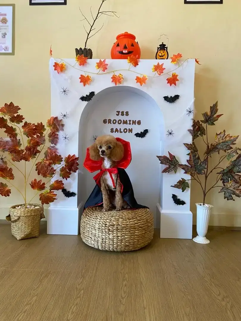 JSS Pet grooming  salon - Image 6 of 9