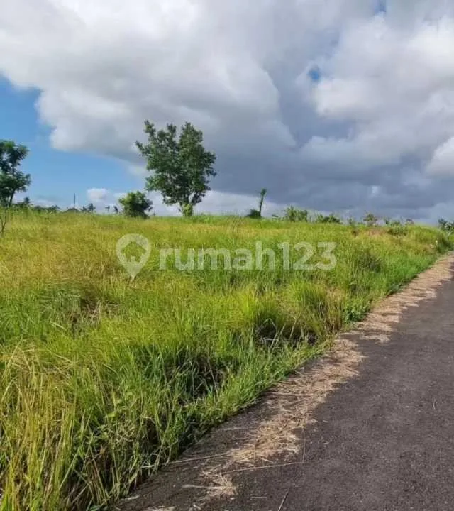 Tanah Dekat Pantai di Pererenan Canggu dengan Akses Jalan Aspal - Image 2 of 4
