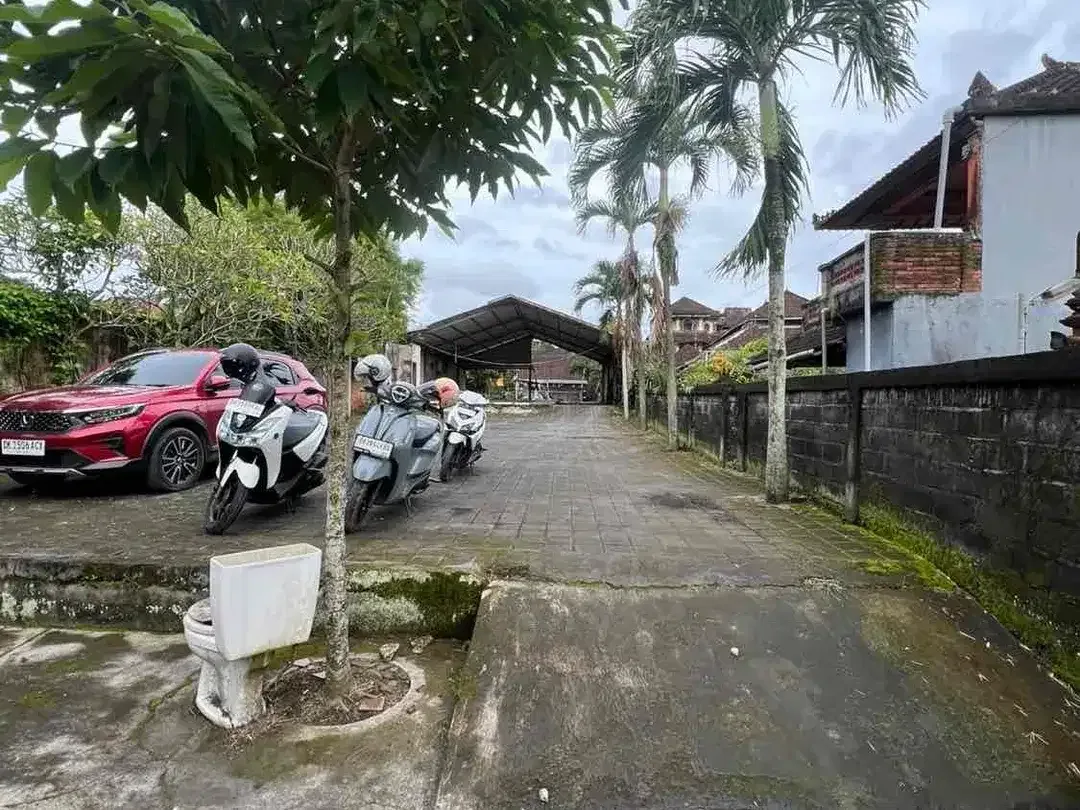 TANAH DISEWAKAN DI JALAN RAYA ANDONG, UBUD - Image 9 of 10