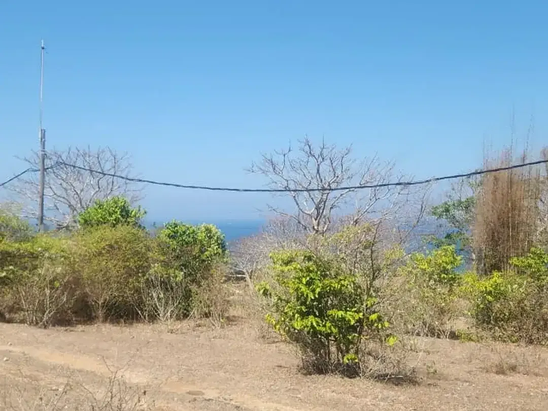 Dijual Lahan Premium 2,5 Hektar Zona Pariwisata Dekat Pantai Pandawa Bali – Cocok untuk Villa Resort dan Investasi - Image 4 of 10