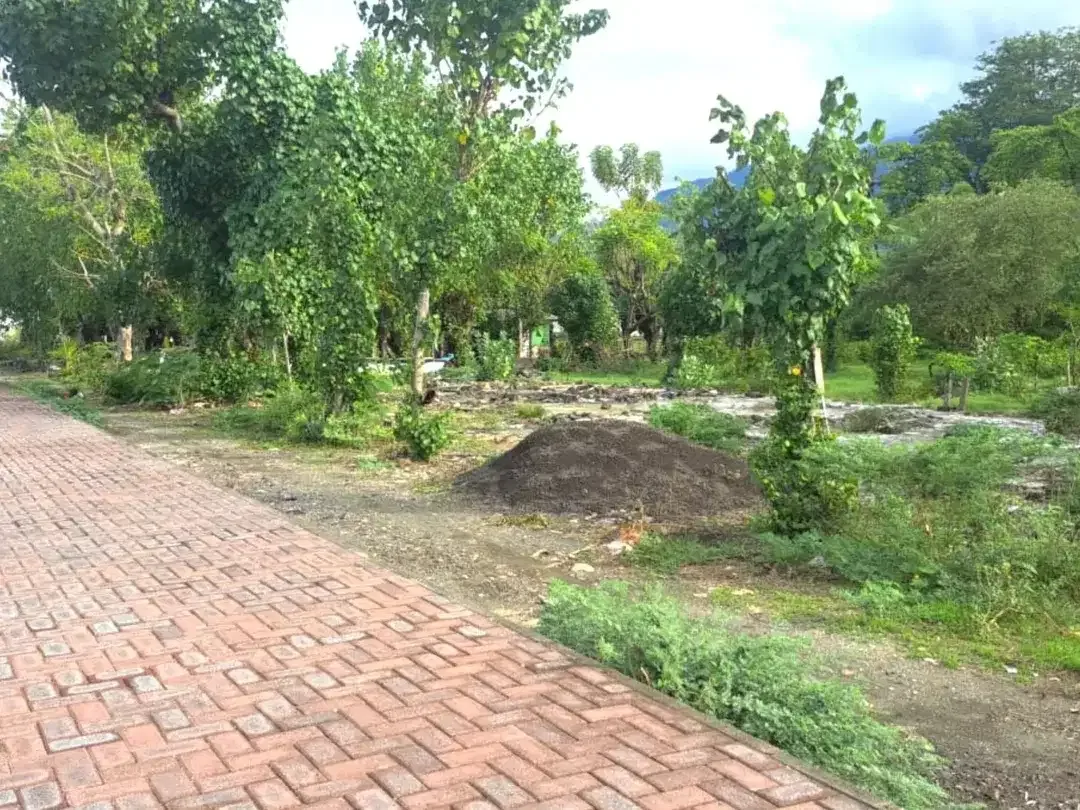 Investasi Pensiun Masa Depan. Dijual Tanah Murah Los Pantai Singaraja. - Image 8 of 8