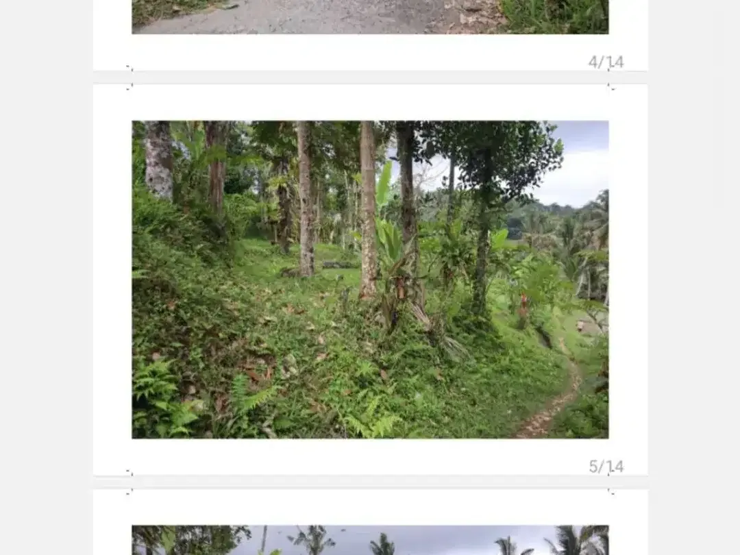 DIJUAL TANAH DENGAN MATA AIR PANAS - Image 2 of 3