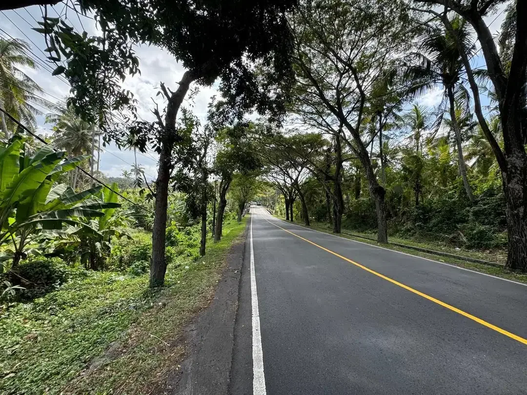 Dijual Tanah Tebing Pantai Bonian Tabanan - Image 4 of 10