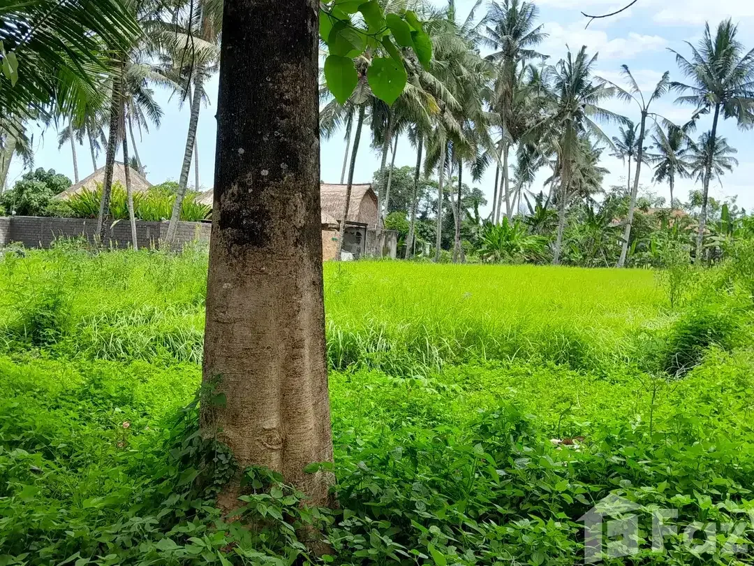 Land for sale in Ubud, Bali - Image 4 of 7