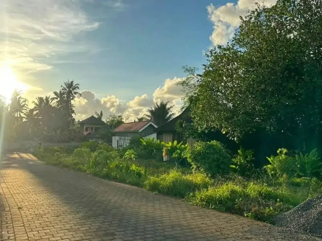 TANAH VIEW SAWAH DI RAYA TUNON SINGAKERTA UBUD GIANYAR - Image 4 of 6