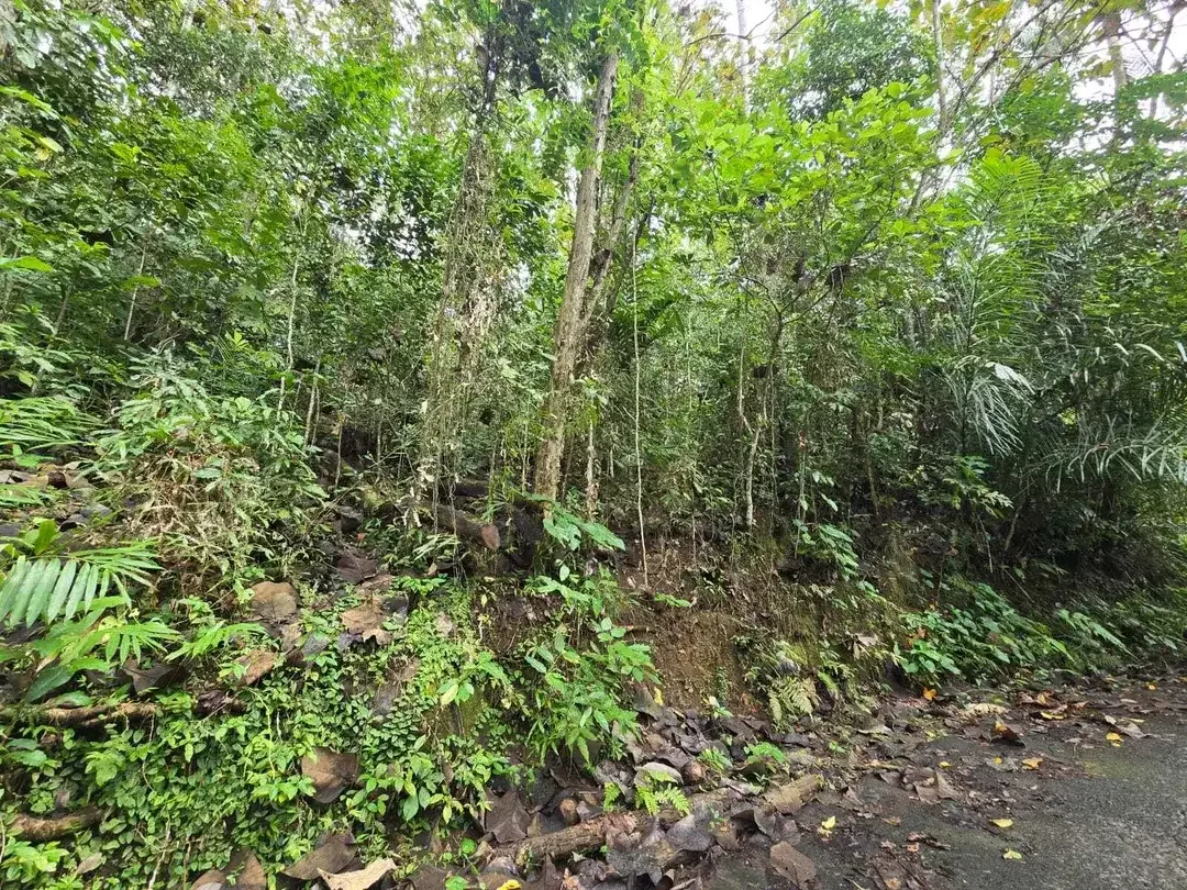 Dijual tanah view sungai dekat villa galalima glamping bali - Image 6 of 10