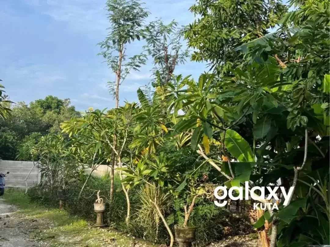 DIJUAL TANAH 1.5 ARE DAERAH JIMBARAN DEKAT TOL DI TAMAN JIMBARAN ASRI - Image 2 of 3