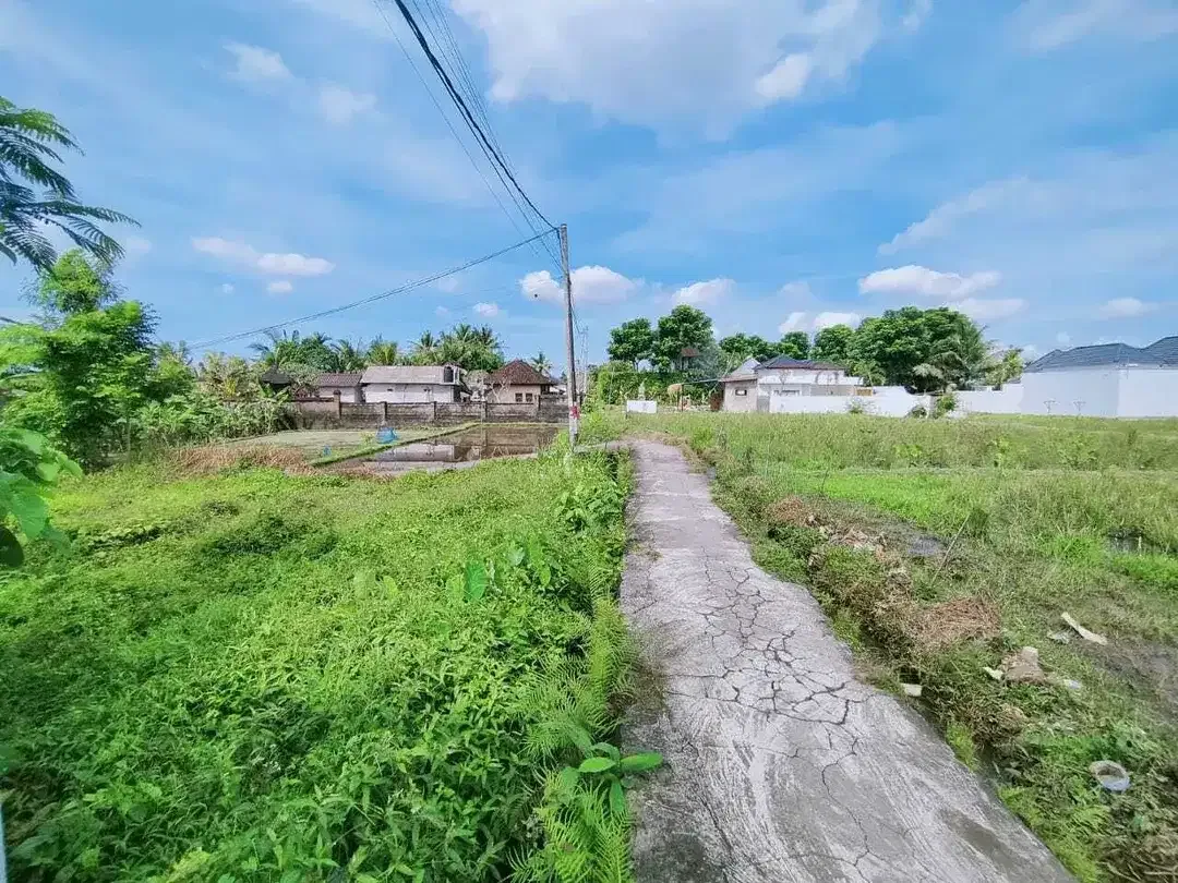 Scenic 2 Are Leasehold Land in Ubud with Rice Field View - Image 9 of 10