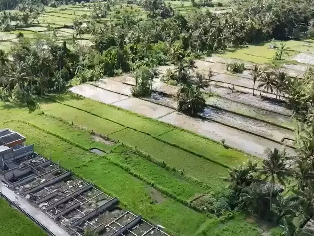 Prime 3.130 sqm of Leasehold Land with Stunning Rice Field Views Ubud - Image 4 of 6