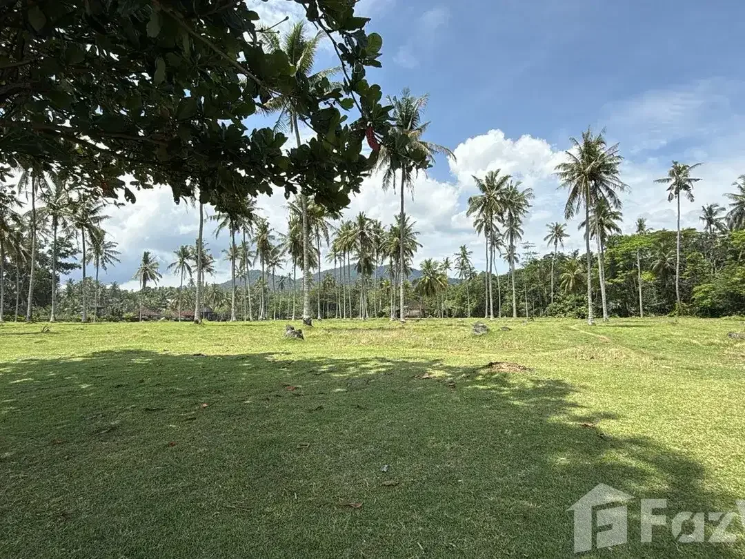 Land for sale in Balian, Bali - Image 8 of 10