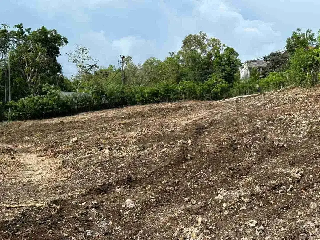 dijual tanah 20 are IDR 720 juta /are dekat savaya villa Pecatu - Image 6 of 8