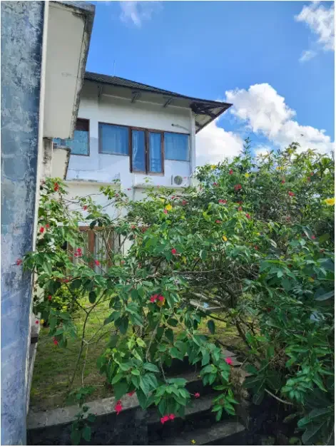 Villa  for sale at kampial Benoa - Image 4 of 10
