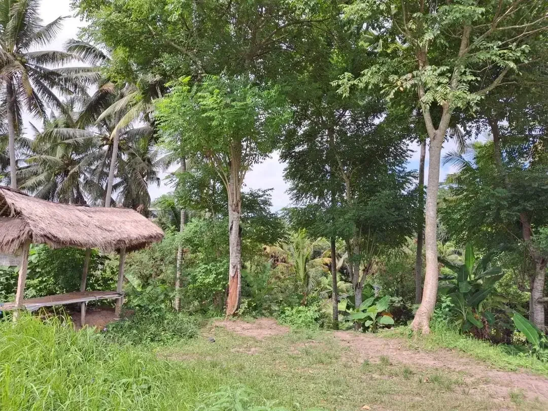Dijual Tanah 23 are di daerah ubud - Image 8 of 9