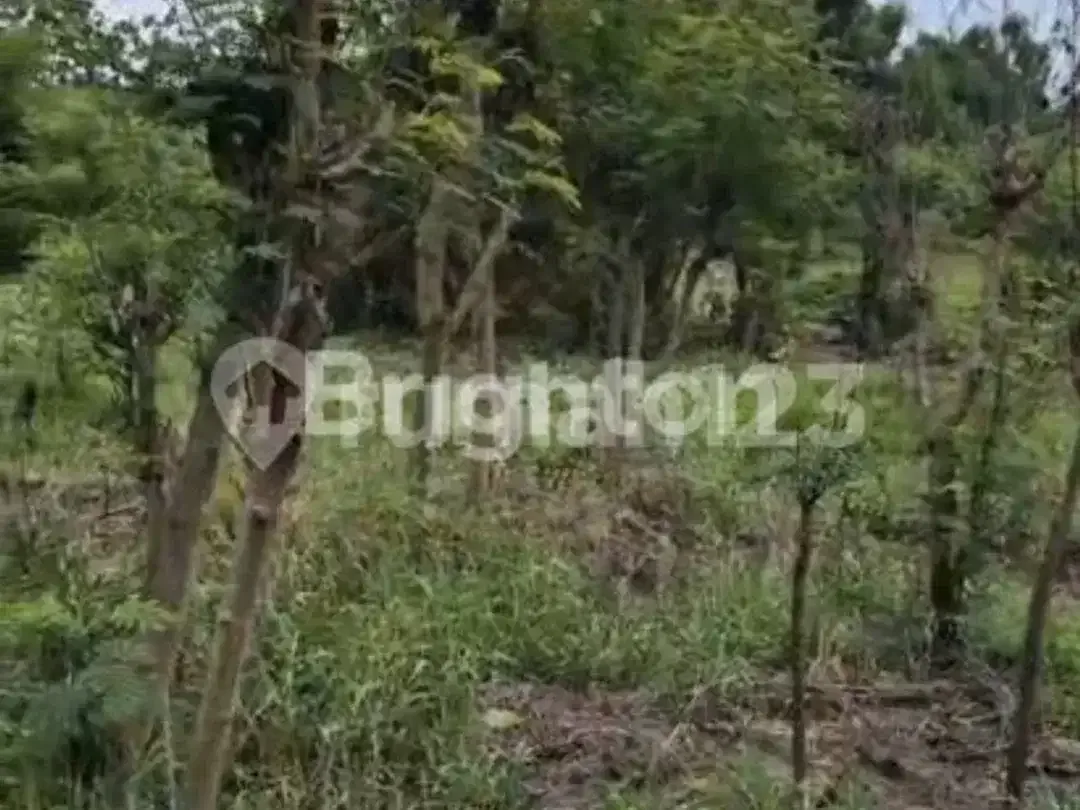 Tanah Luas 260 Are - Jalan Ida Bagus Mantra, Klungkung Lokasi Strategis Seberang Rs Graha Medika Klungkung Bali Cocok untuk Resort /Perumahan - Image 6 of 7
