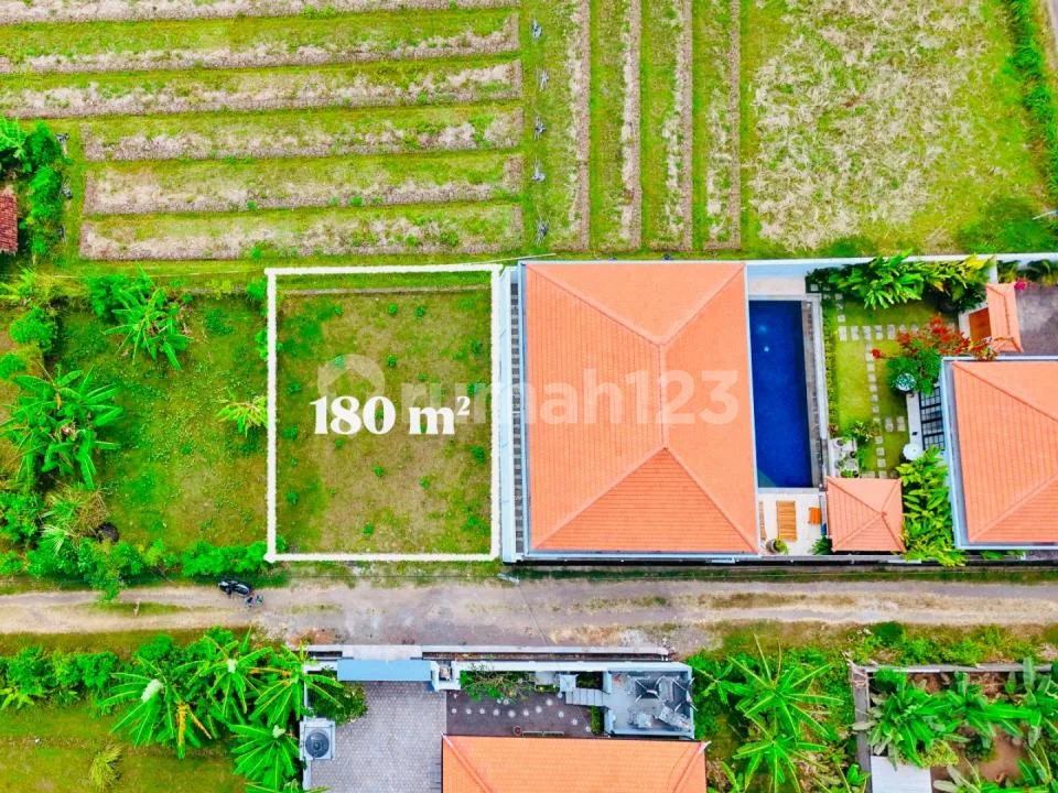 Di Jual Tanah di Central Lovina -Singaraja Bali - Image 2 of 4