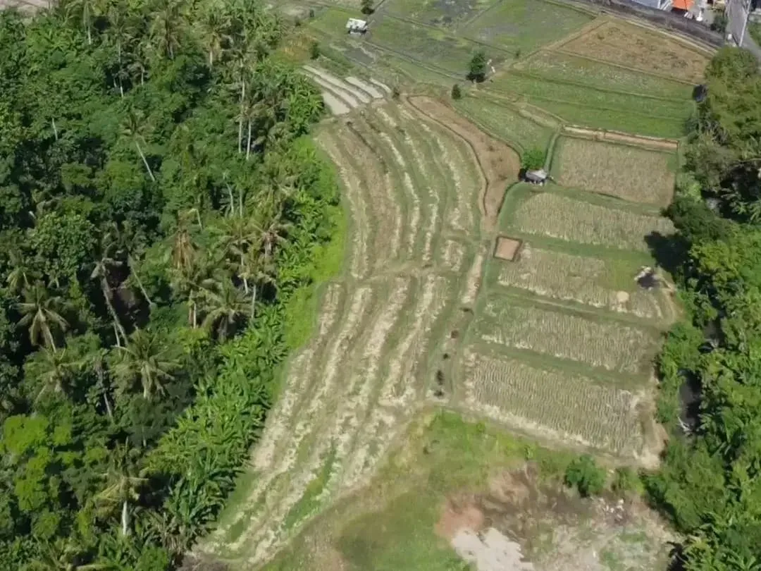 KAVLING MURAH DI JALAN RAYA SEMPIDI BADUNG BALI - Image 3 of 5