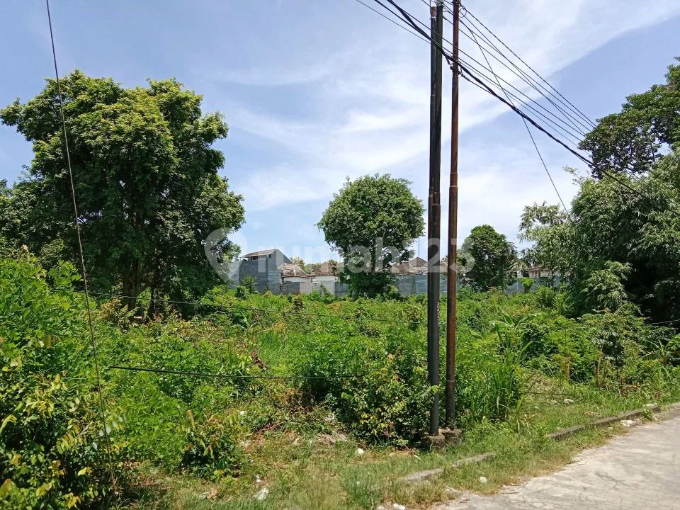 Investor Alert: Tanah Premium SHM 6.960 M2 Mumbul Nusa Dua Bali - Harga Jauh di Bawah NJOP! - Image 1 of 4