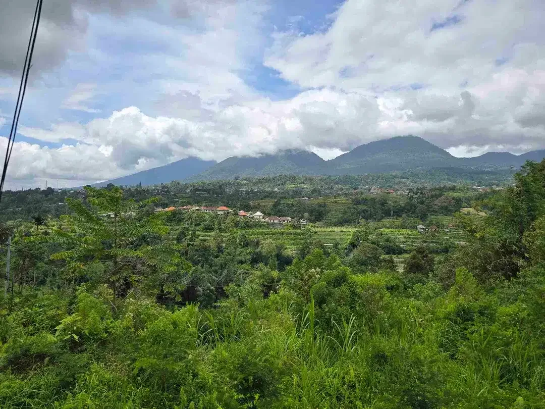 dijual tanah view exotik gunung dan terasering di baturiti bali - Image 1 of 10