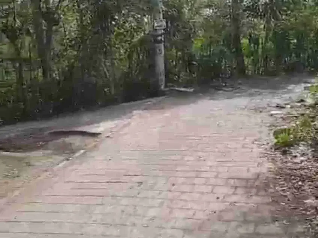 Tanah bagus siap bangun cocok untuk villa dan hunian lainnya - Image 3 of 9